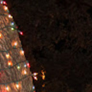 Meet your Posher, Riley